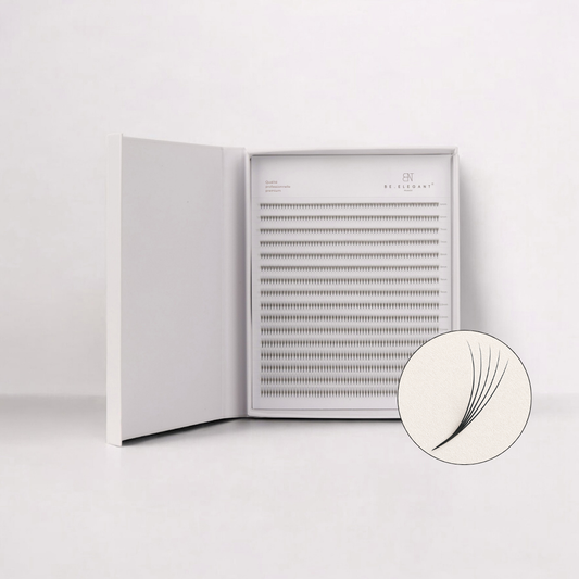 EXTENSIONS DE CILS | BOUQUETS PRÉFAITS | 0.07 5D