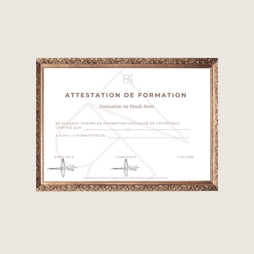 FORMATION AIR BRUSH BROW