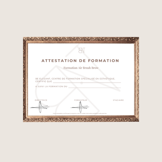 FORMATION AIR BRUSH BROW