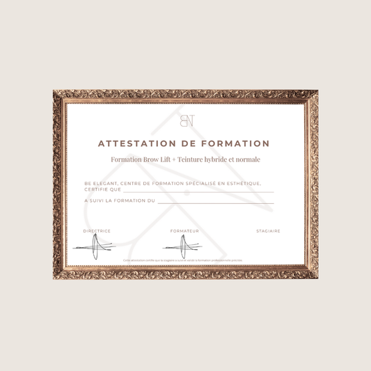 FORMATION 2 EN 1 BROW LIFT + TEINTURE NORMAL ET HYBRIDE
