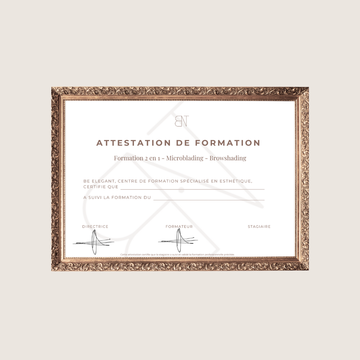 FORMATION | MICROBLADING ET BROWSHADING SIGNATURE®
