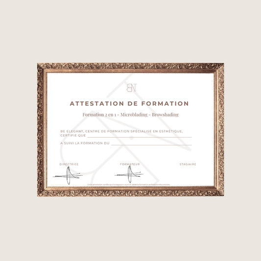 FORMATION | MICROBLADING ET BROWSHADING SIGNATURE®